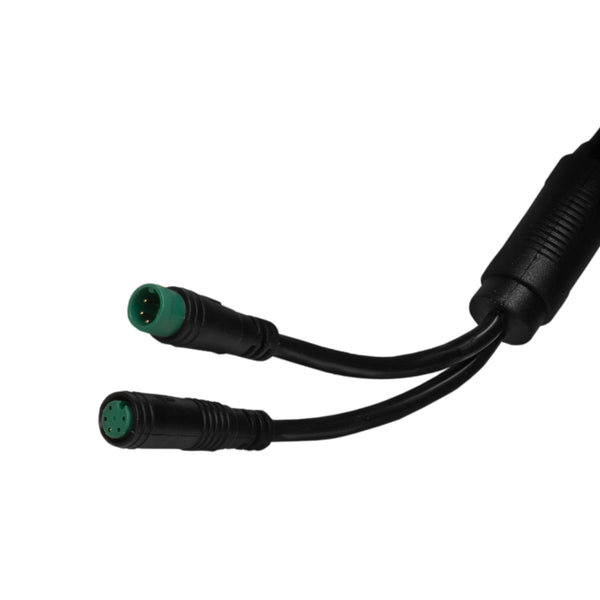 Levociraptor 2021 discount